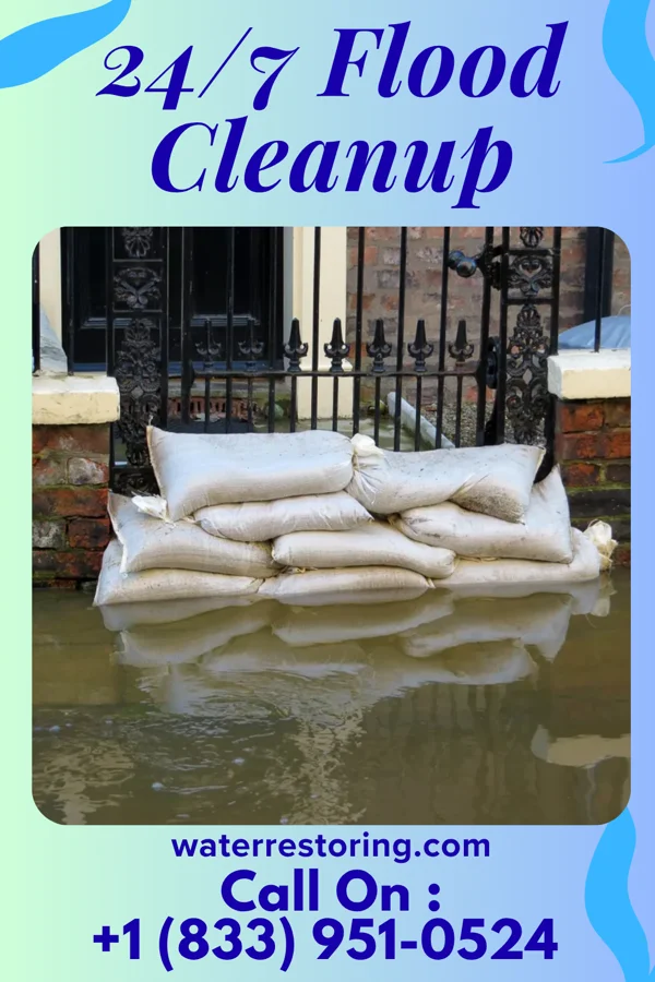 24/7 Flood Cleanup in Cameron, WV