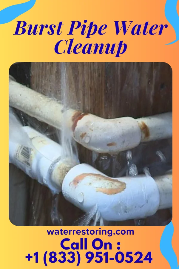 Burst Pipe Water Cleanup in Cameron, WV