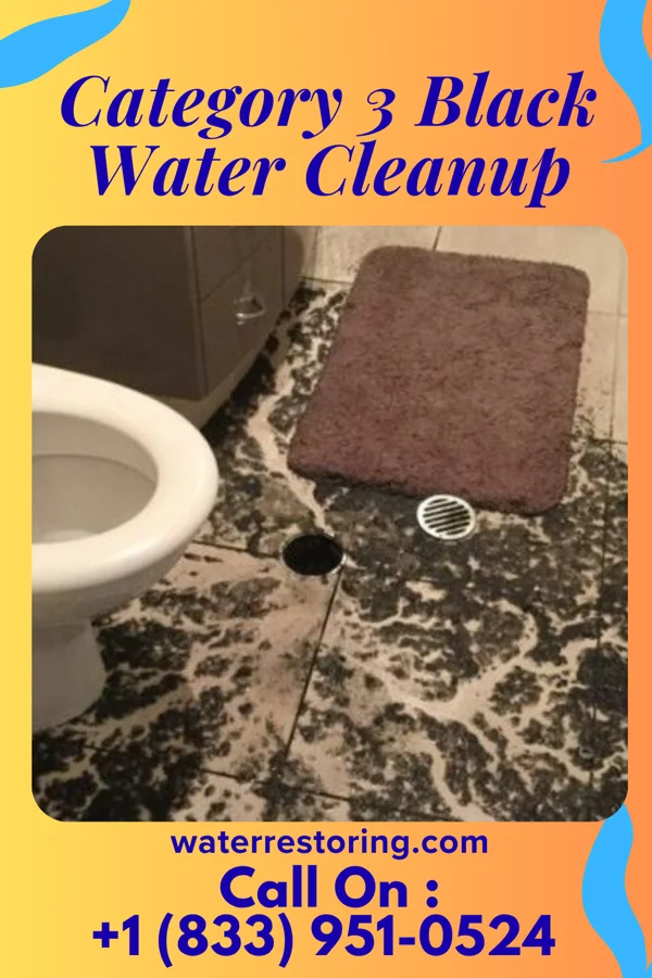 Category 3 Black Water Cleanup in Cameron, WV