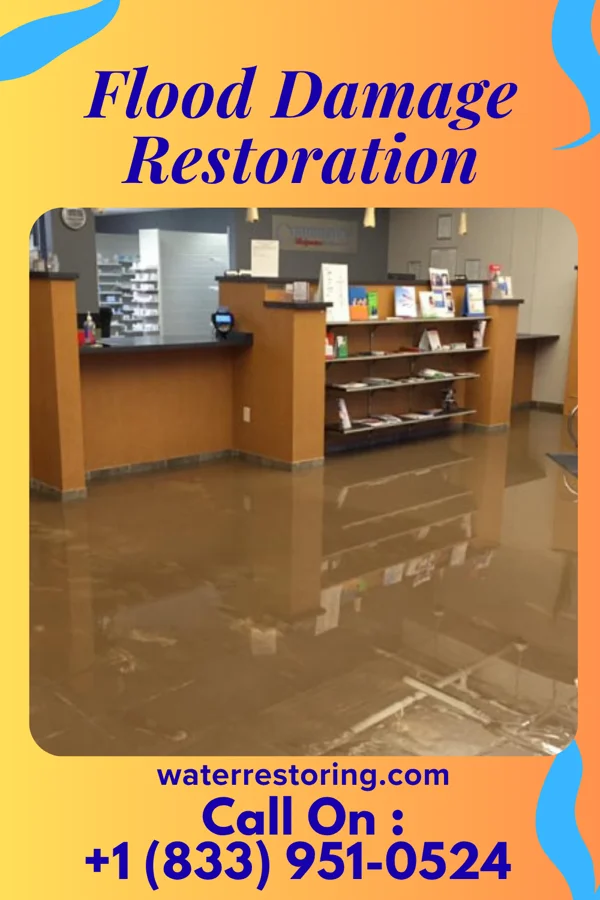 Flood Damage Restoration in Cameron, WV