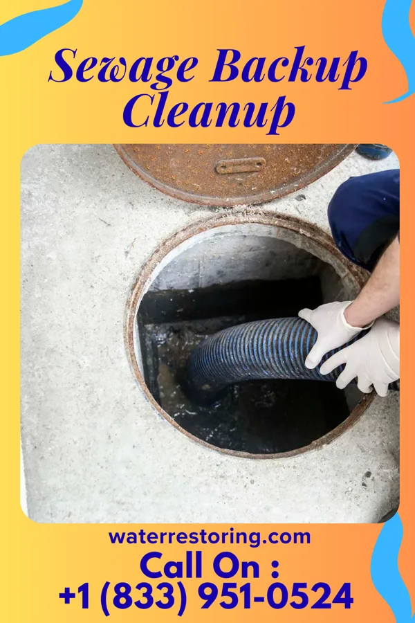 Sewage Backup Cleanup in Cameron, WV