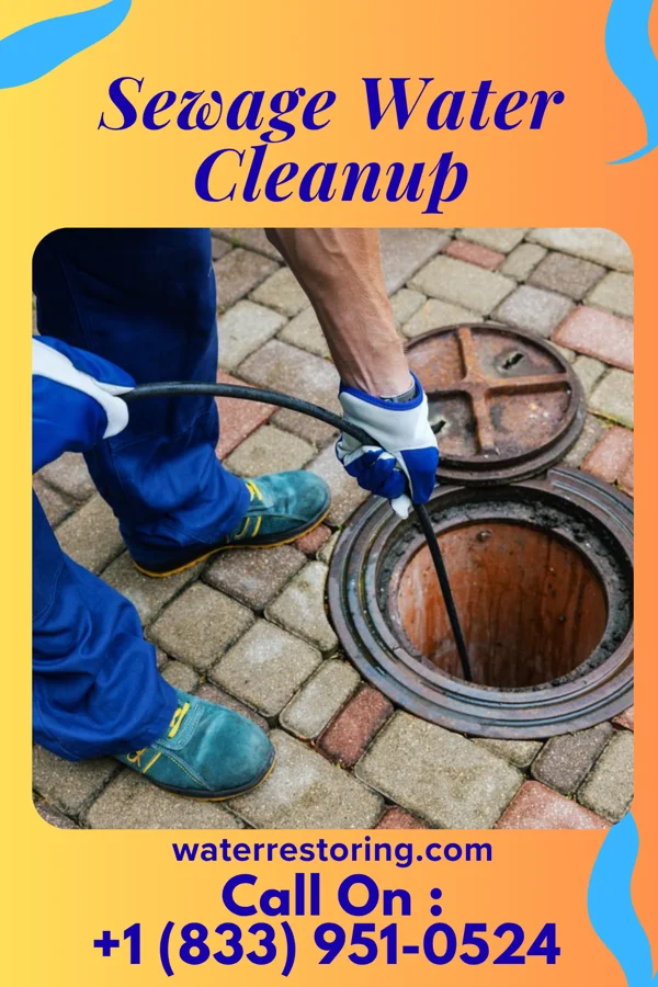 Sewage Water Cleanup in Cameron, WV
