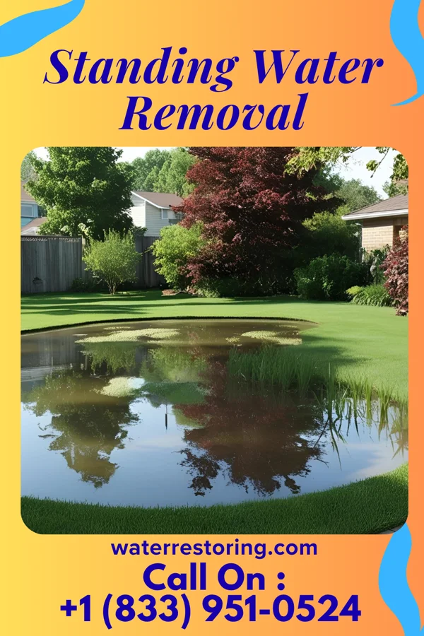 Standing Water Removal in Cameron, WV